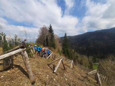 Fachstelle für forstliche Bautechnik