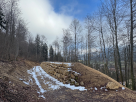 Aménagement de digue pare-pierre