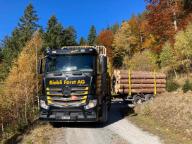 Adaptation de la géométrie des routes forestières
